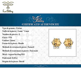 Bijou Citrine Boucles d'oreilles en argent - La Colibry